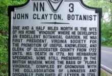 John Clayton Botanist Biography