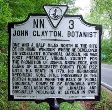 John Clayton Botanist Biography