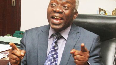 Femi Falana Biography