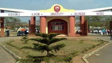 Akungba University School Fees
