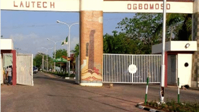 lautech school fees